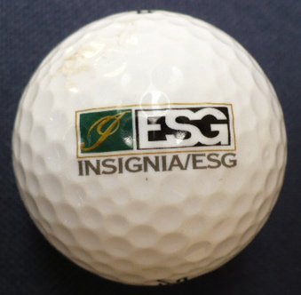 Insignia ESG