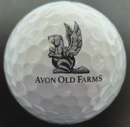 Avon Old Farms