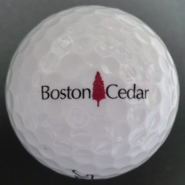 Boston Cedar