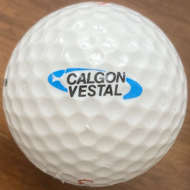 Calgon Vestal