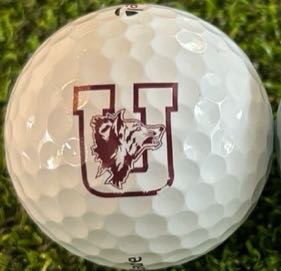 Uvalde Coyotes, Texas High School