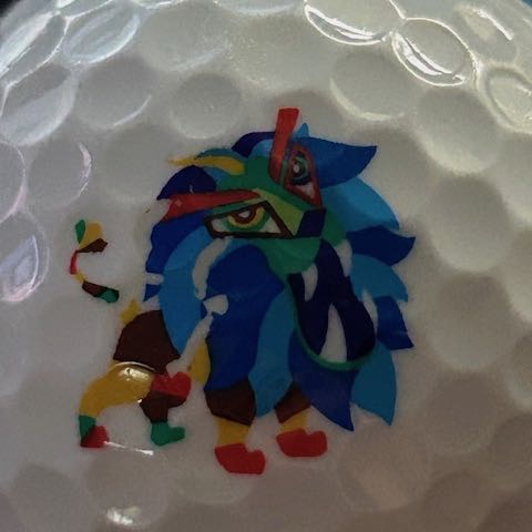 Saintnine Golf Ball Brand Logo