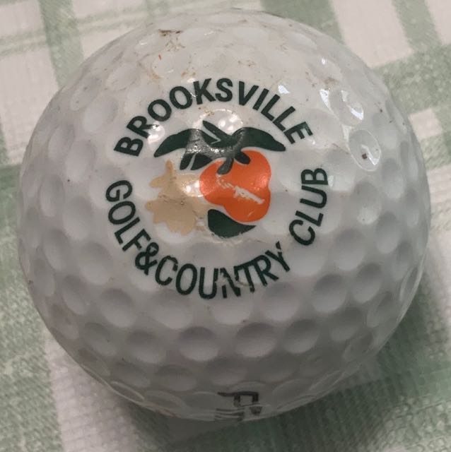 Brooksville CC, Brooksville, FL