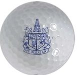 Mt Pleasant Public Schools