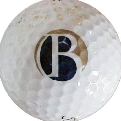 Bowles Rice Law Firm in WV