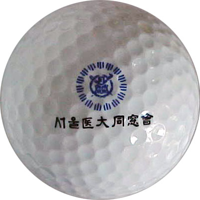 Seoul University Allumni Assn