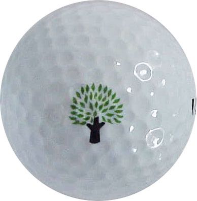 Village Links Glen Ellyn, IL