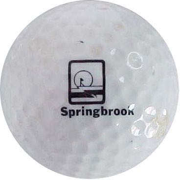 Springbrook GC, Lawrenceville, GA