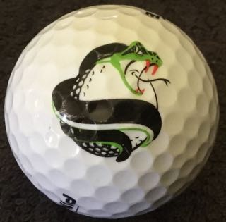 Moccasin Wallow GC, Palmetto, FL