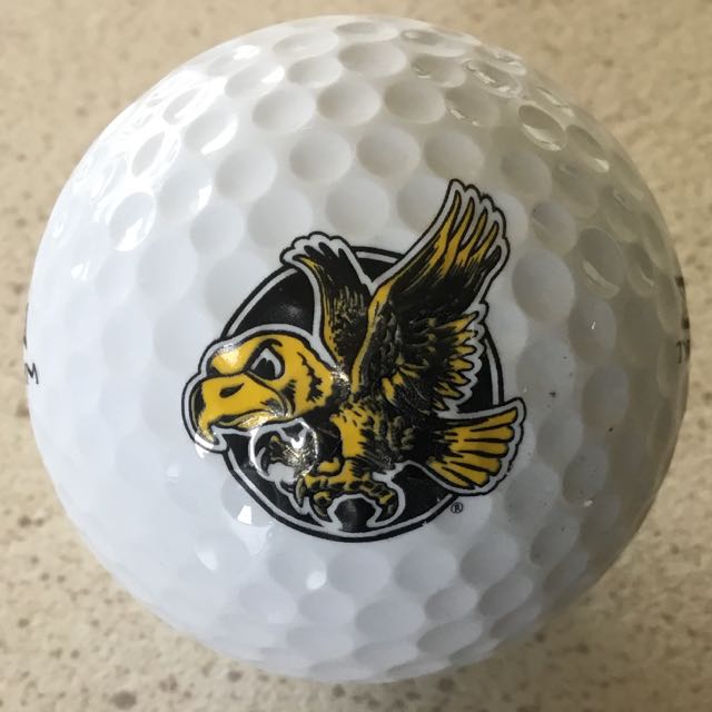 University of Iowa Mascot, Herky