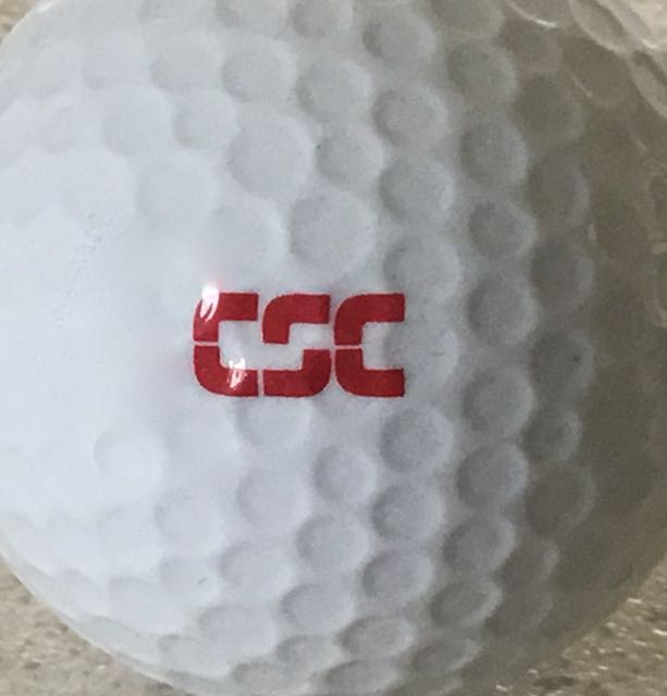 Computer Science Corp