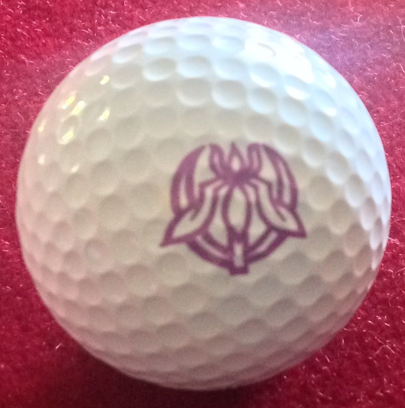 Frensham School, Mittagong, NSW