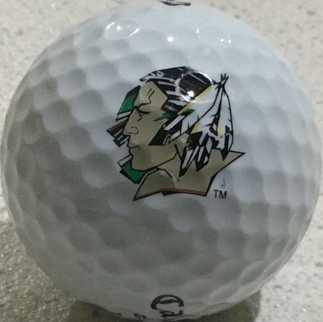 North Dakota Univ, Fighting Sioux