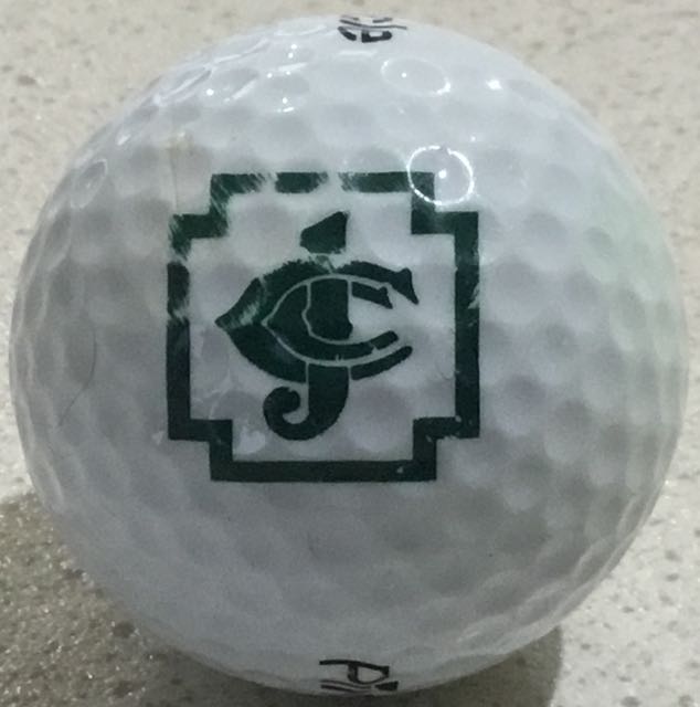 Joliet CC, Joliet, IL