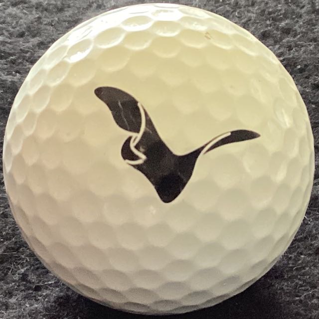 South Cape Owners Club, S Korea