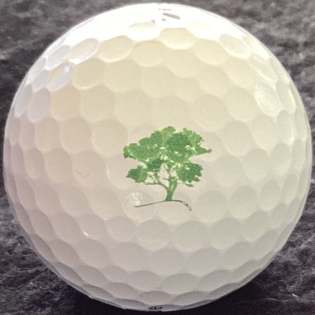 Cathedral Lodge GC, Vic