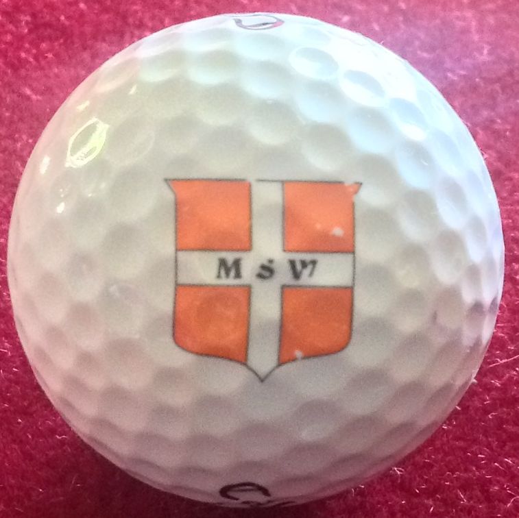 McGriff, Seibels & Williams