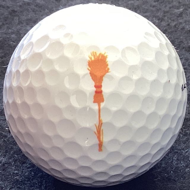 Broomsedge GC, Rembert, SC