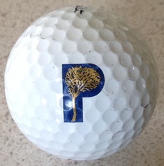 Prestonwood CC, Dallas, TX