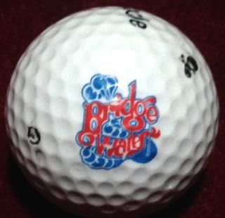 Bridgewater - Fort Erie, Ontario