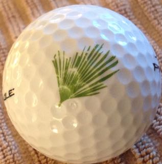 Forest Hills GC, Forest Lake, MN