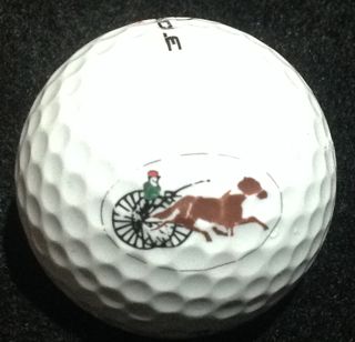 Brown Acres GC, Chattanooga, TN