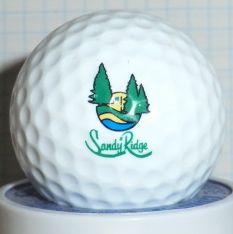 Sandy Ridge, Midland, MI