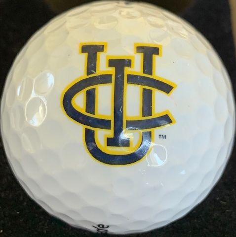 University of California (Irvine)