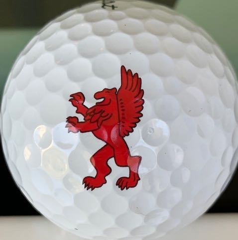 Griffin Elite Sports & Wellness