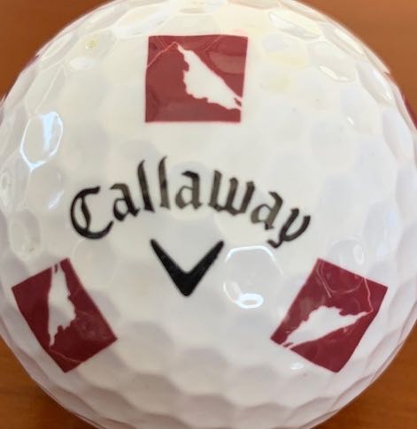 Enterprise Software Investors