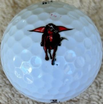 Texas Tech Red Raiders Logo