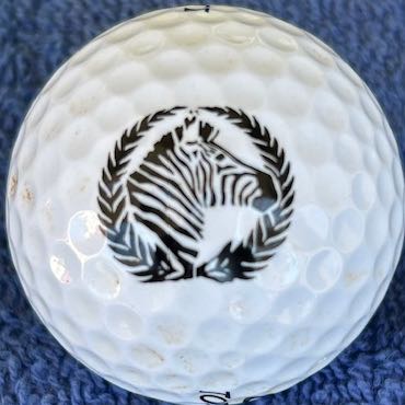 San Jose Zebra Youth Foundation