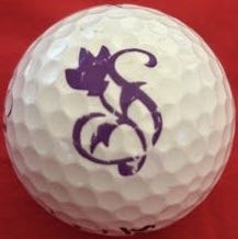 Springfield Golf Resort, Chandler, AZ