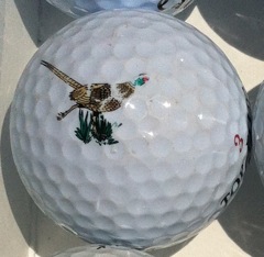 Pheasant Run GC, La Grange, OH