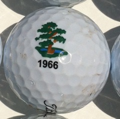 CC of Naples, Naples, FL