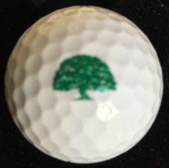 John's Island - Naples, FL