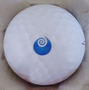 Flag of Ibaraki, Japan