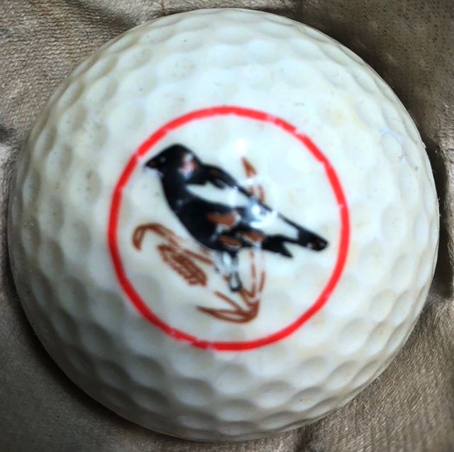 Bob-O'Link GC, Highland Park, IL