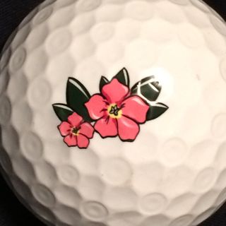 Bridgestone E6 - Azalea Edition
