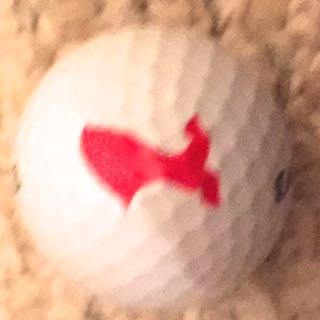 Heart Assn - Go Red For Women