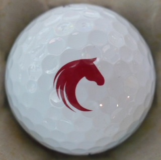 Great Horse CC, Hampden, MA