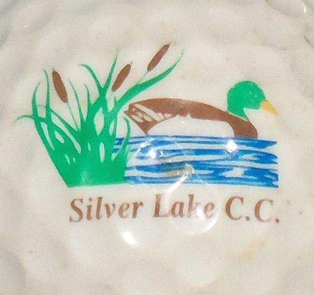 Silver Lake CC, Orlond Park, IL