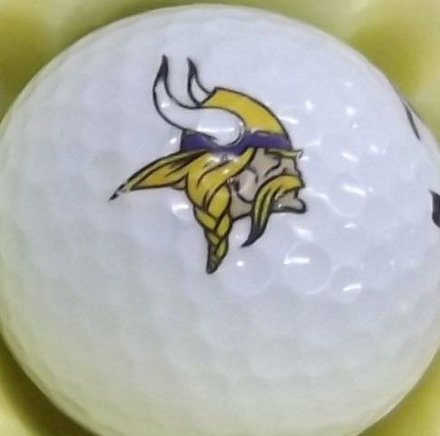 Minnesota Vikings (NFL)