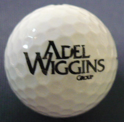 Adel Wiggins