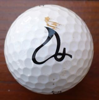 Foxwoods Fire Symbol