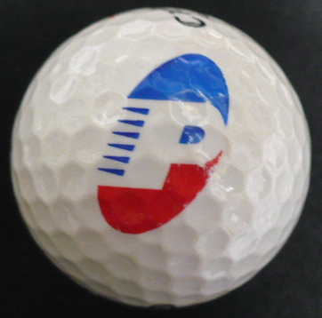 PFS Professional Fin Svcs