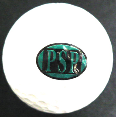 PSP Group - Payroll Svcs