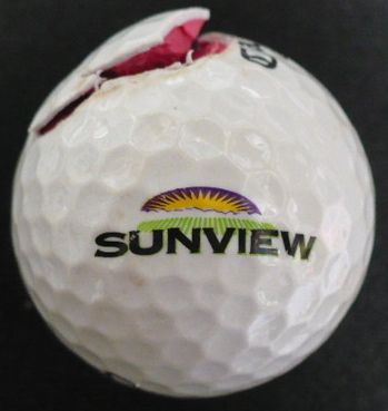 Sunview Marketing Intl