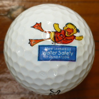 Stew Leonard Water Safety