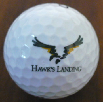 Hawks Landing